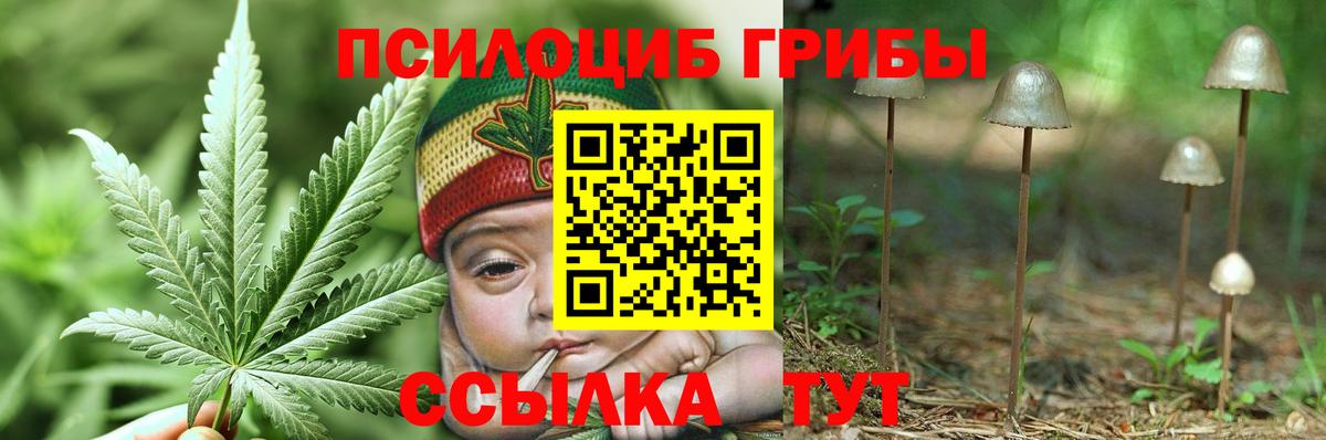 Псилоцибиновые грибы Magic Shrooms Елец